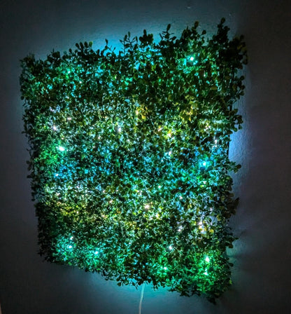 "20x20” Ivy Flower Wall Panel with LED Lighting – Multi-Color And Patterns 