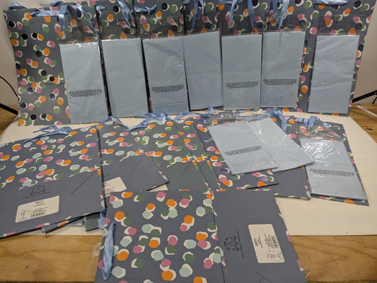 15 Pack 10x12 Spritz Gift Bags Plus 15 Packs Of Decorative Tissue