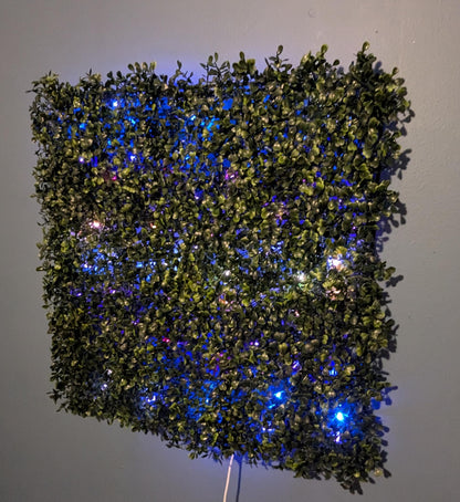 20" x 20" Custom LED Ivy Wall